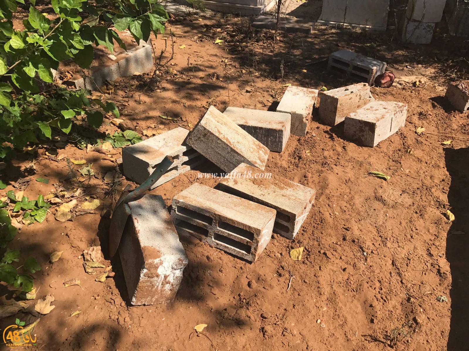 tasoo aswsaj3h (3).jpg